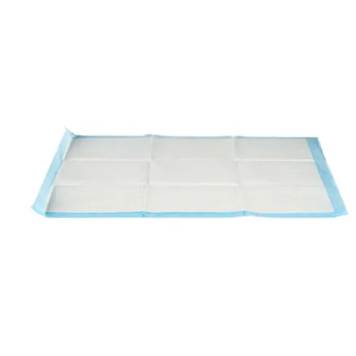 Zindelijkheidstraining-pads voor honden 60 x 90 cm Blauw Wit Papier Polyethyleen (10 Stuks) Foto 2